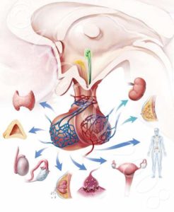 fibroadenoma-3