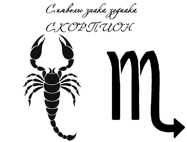символы знака зодиака скорпион